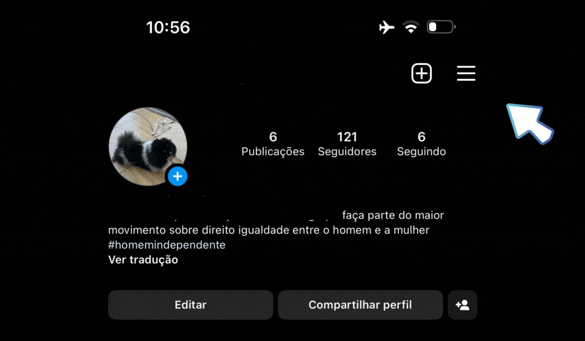 Segundo passo Como Ver Publicações Que Você curtiu no Instagram